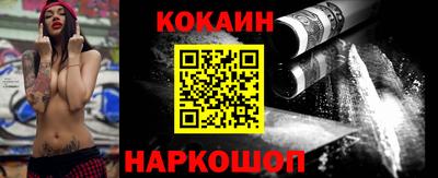 сатива Новозыбков