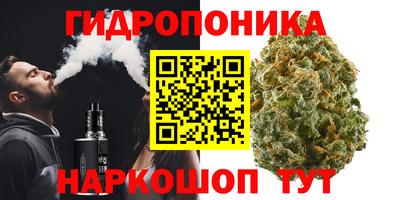 шишки Нальчик