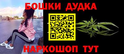 сатива Новозыбков